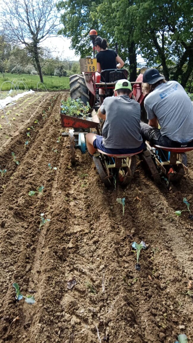 Mathilde et Daniel dans leur tracteur au milieu des champs lors d'une session de plantation pour leur ferme familiale du Potager Joyeux